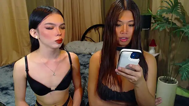 TWINKTRANSSHANEL online show from 10.12.25