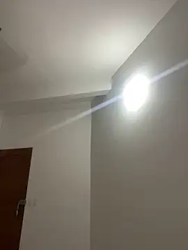 Nhefertary online show from 03.20.26