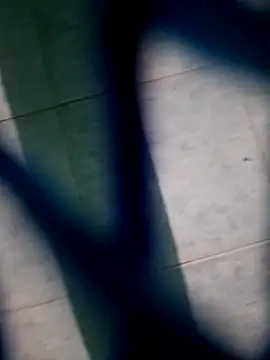 Snapshot of Neilhot98 chatting on 11.16.25 Neilhot98 online show from 11.16.25