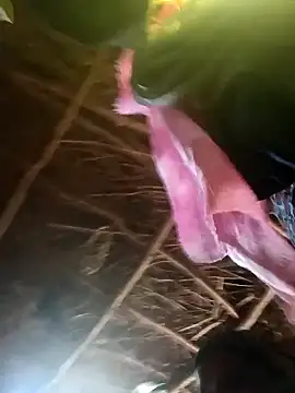 Snapshot of Janvi_tv chatting on 10.31.25 Janvi tv online show from 10.31.25