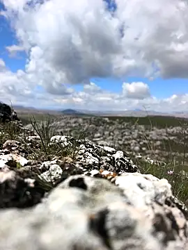 Sert erkek21 ysm online show from 03.31.26