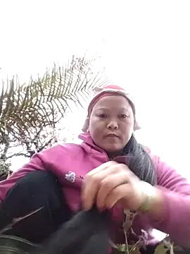 sumaybae online show from 12.14.25