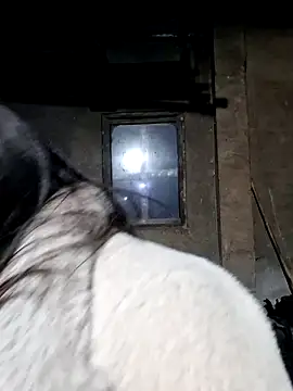 Snapshot of miomio-12 chatting on 02.27.26 miomio-12 online show from 02.27.26