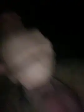 sertsikici20cm   online show from 10.12.25