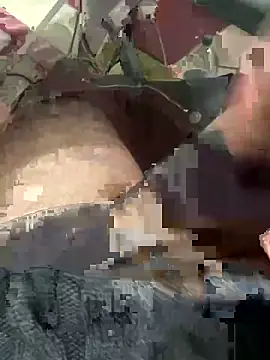 sertsikici20cm   online show from 03.01.26