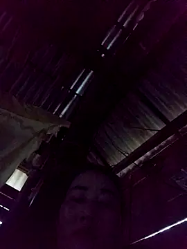 Meo2k1 online show from 11.16.25