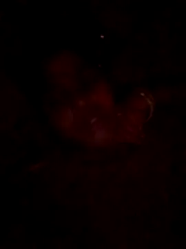 Tg sonam online show from 10.23.25