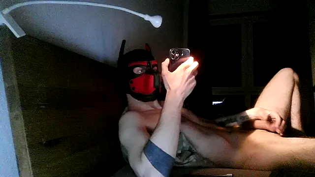 Snapshot of MolleDolle chatting on 12.02.25 MolleDolle online show from 12.02.25