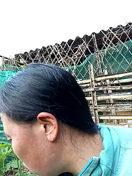 jerry-xx online show from 01.18.26