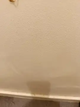  Gabriela 5Live online show from 11.10.25