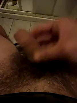 Theanimals online show from 11.05.25