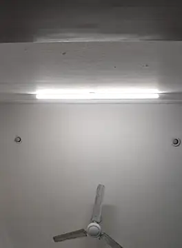 Snapshot of Anchal-8798 chatting on 11.08.25 Anchal-8798 online show from 11.08.25