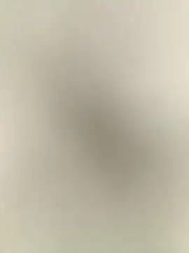 Snapshot of Anchal-8798 chatting on 12.17.25 Anchal-8798 online show from 12.17.25