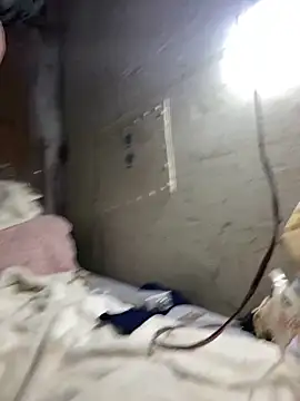 Nectarioteins online show from 02.04.26