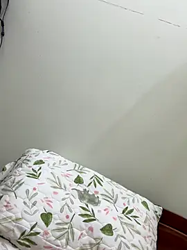 Snapshot of Ha_2660 chatting on 10.22.25 Ha 2660 online show from 10.22.25