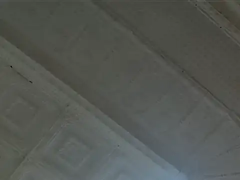 EsotericPaloma online show from 10.24.25