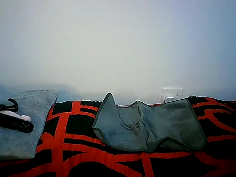 Snapshot of Ntokozo290 chatting on 11.11.25 Ntokozo290 online show from 11.11.25