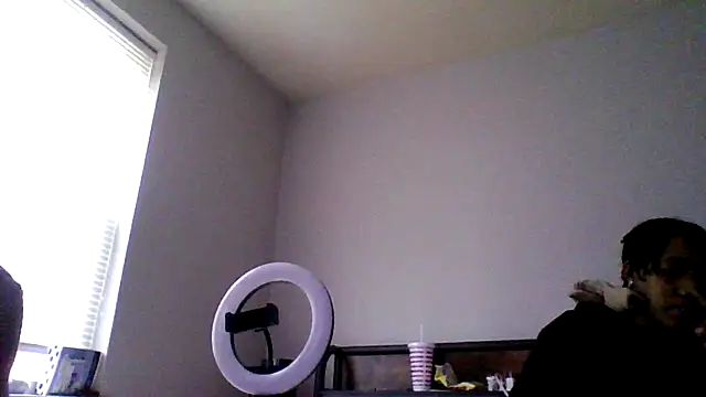 dezzidavill online show from 02.20.26