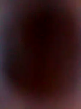 DankNewcomer online show from 10.31.25