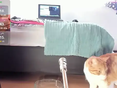   Aragon   online show from 11.04.25