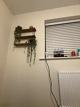 Hothungboy1 online show from 11.30.25