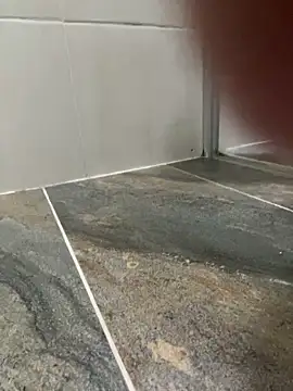 Snapshot of Dani_anal_ts chatting on 10.29.25 Dani anal ts online show from 10.29.25