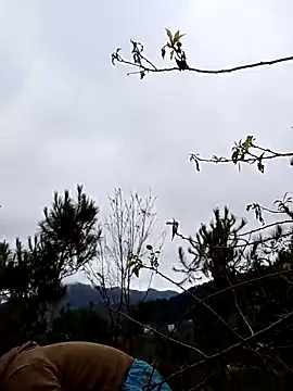 siusiu-00 online show from 11.19.25