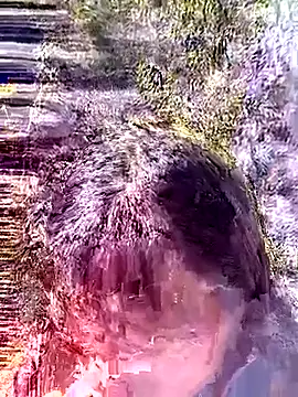 siusiu-00 online show from 01.18.26