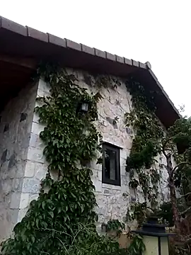 siusiu-00 online show from 04.01.26