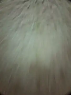 torresflow99nais online show from 11.25.25