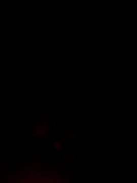 Snapshot of ShavenScope24 chatting on 12.01.25 ShavenScope24 online show from 12.01.25