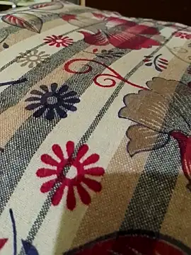 Snapshot of svk_05 chatting on 10.18.25 svk 05 online show from 10.18.25