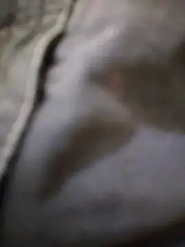 Snapshot of svk_05 chatting on 11.20.25 svk 05 online show from 11.20.25