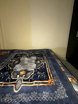 payal mittal online show from 11.29.25