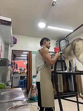 Leonardmoppet online show from 11.04.25