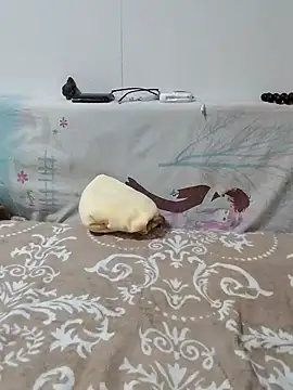 Snapshot of caige8888 chatting on 11.17.25 caige8888 online show from 11.17.25