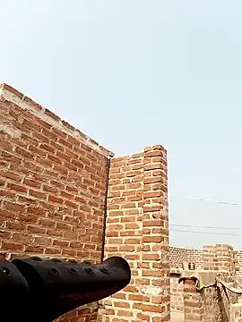 Rajni chauhan online show from 02.20.26