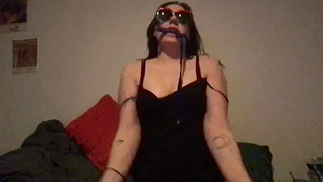 wet alleycat online show from 02.17.26