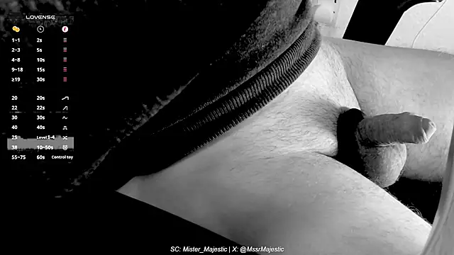 Mister Majestic online show from 11.19.25