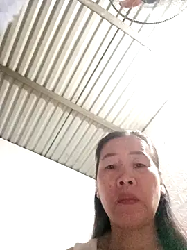 tabby-cat11 online show from 11.03.25