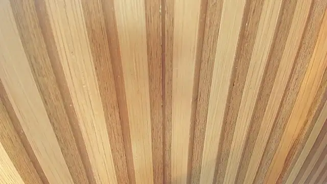 mia  blaze   online show from 12.22.25