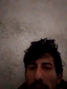 Orlao25cm online show from 02.06.26