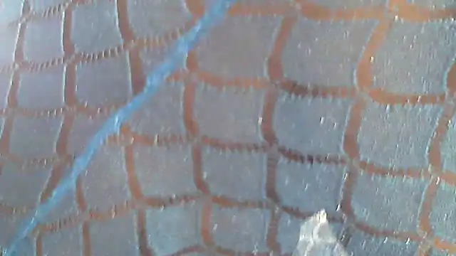 Snapshot of Hotcougar chatting on 03.08.26 Hotcougar online show from 03.08.26