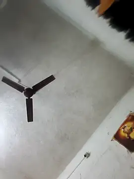 RNlov online show from 02.13.26