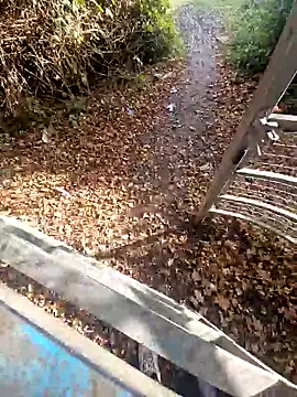 bbyxklaus online show from 11.05.25