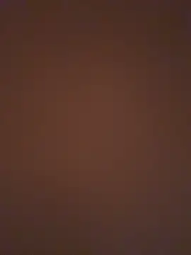 lay4444 online show from 11.28.25