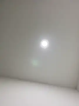 violeta365 online show from 03.12.26