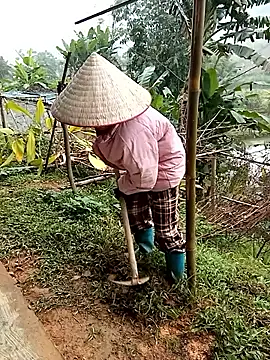 Snapshot of Fish_yellow chatting on 12.17.25 Fish yellow online show from 12.17.25