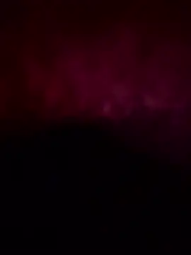 bpn56 online show from 01.07.26