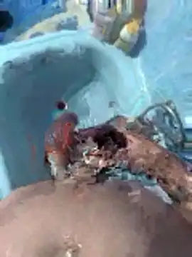 Miguelitros online show from 04.27.26